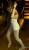 obr.
IMG_6917.jpg