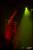 obr.
DSC_3107.JPG
