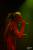obr.
DSC_3363.JPG