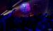 obr.
IMG_0734.jpg
