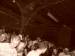 obr.
P1090205.JPG