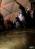 obr.
IMG_0586.jpg