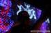 obr.
bb_trippl-krippl02.jpg