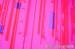 obr.
bb_trippl-krippl50.jpg