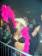 obr.
DSC04200.JPG