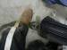 obr.
P1070679.JPG