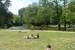 obr.
DSC03102.JPG