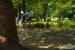 obr.
DSC03110.JPG