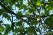 obr.
DSC03112.JPG
