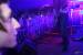 obr.
IMG_2277.jpg