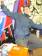 obr.
DSC04249.JPG